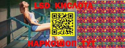 гашик Будённовск