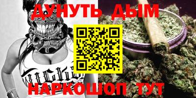 гашик Будённовск