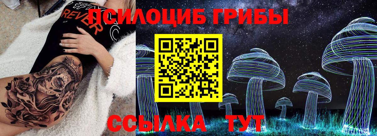 Псилоцибиновые грибы прущие грибы  Вход с VPN  купить  цена  Галлюциногенные грибы Psilocybe  Отрадное 